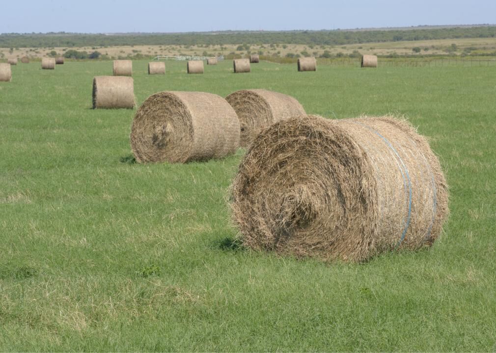 #46. Baylor County, Texas